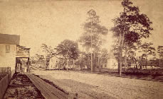 View from N. side of Tarpon Ave. from middle block Safford Ave. to Hibiscus St. c. 1889